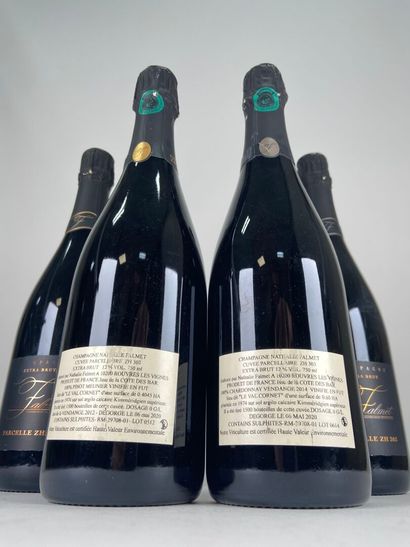 CHAMPAGNE.
Nathalie Flamet.

Parcellaire...