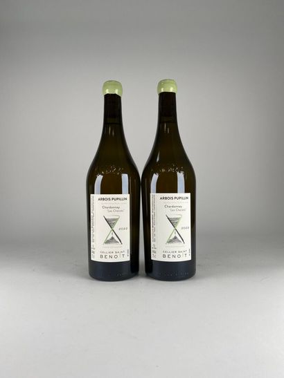 ARBOIS PUPILLIN BLANC.
Cellier Saint Benoit.
Les...