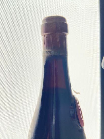 AMARONE.
Cantina de Nonna.
1959. 1 bt.