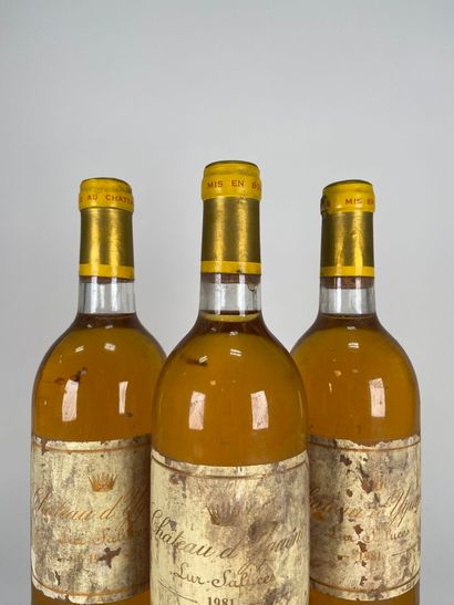 SAUTERNES. 1er CCS.
Château d'Yquem.
1981....