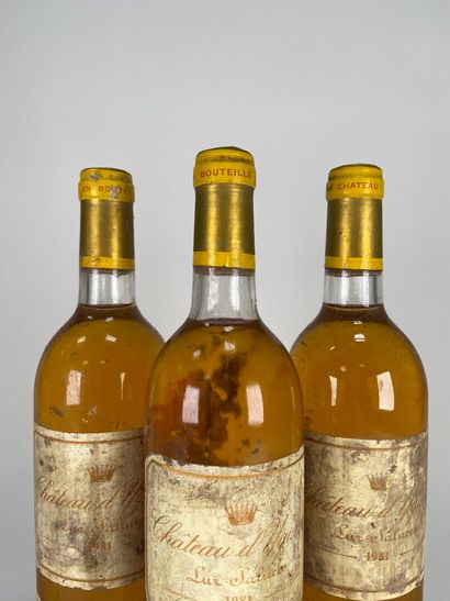 SAUTERNES. 1er CCS.
Château d'Yquem.
1981....