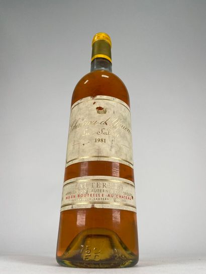 SAUTERNES. 1er CCS.
Château d'Yquem.
1981....