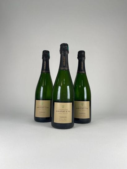 CHAMPAGNE GRAND CRU.
Pascal Agrapart.
Terroirs...