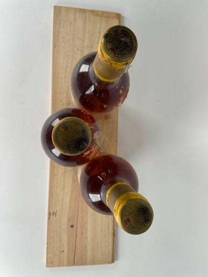 SAUTERNES. 1er CCS.
Château d'Yquem.
1975....