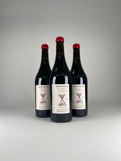 ARBOIS PUPILLIN ROUGE.
Cellier Saint Benoit.
Courbes...