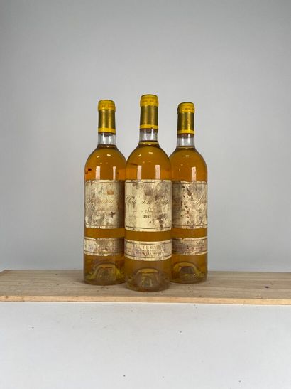 SAUTERNES. 1er CCS.
Château d'Yquem.
1981....
