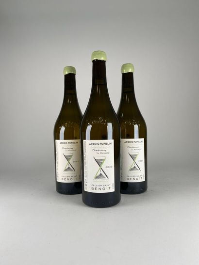 ARBOIS PUPILLIN BLANC.
Cellier Saint Benoit.
La...
