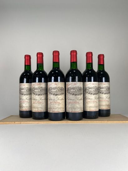HIGH MEDOC. CB.
Château Sénilhac.
1990. 6...