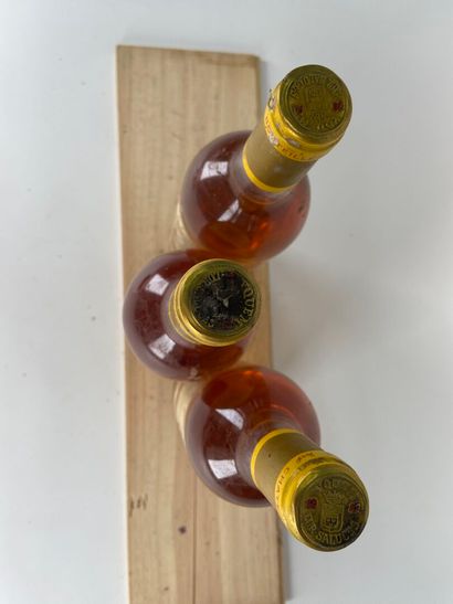 SAUTERNES. 1er CCS.
Château d'Yquem.
1981....