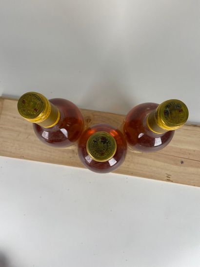 SAUTERNES. 1er CCS.
Château d'Yquem.
1981....