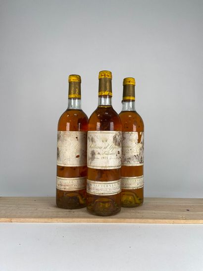 SAUTERNES. 1er CCS.
Château d'Yquem.
1975....
