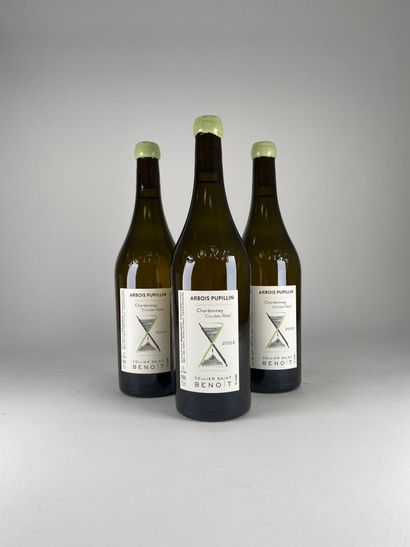ARBOIS PUPILLIN BLANC.
Cellier Saint Benoit.
Courbes...