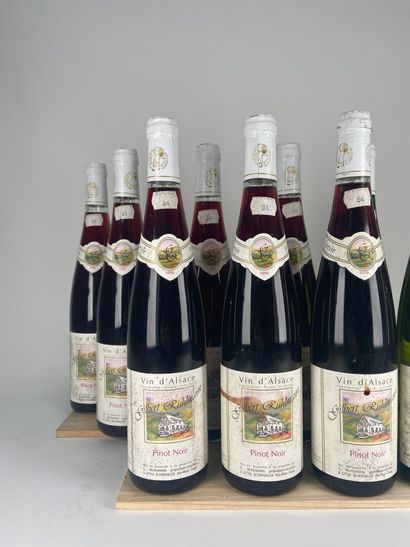 ALSACE.
Gilbert Rhulmann. 1999 :
Pinot Noir....
