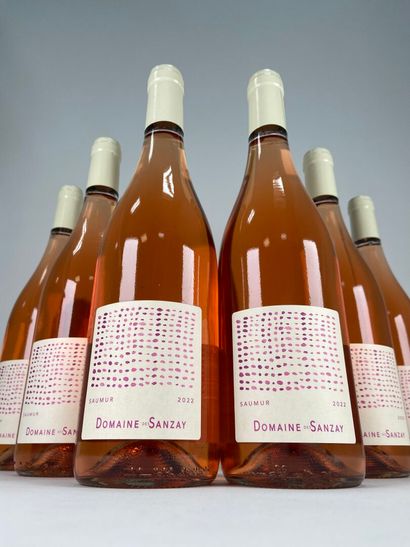 SAUMUR ROSÉ.
Domaine des Sanzay.
2021. 6...