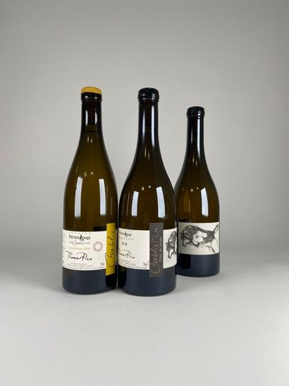 CHABLIS.
1er Cru Côte de Jouan.
Domaine Pattes...