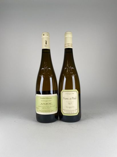 ANJOU.
Domaine Delesvaux.
France de Pied.
2015....