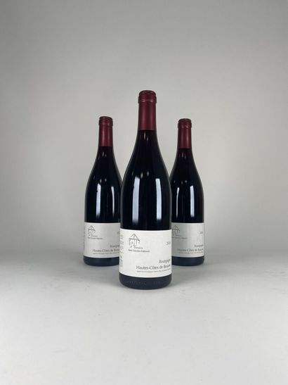 HAUTES COTES DE BEAUNE.
Claire Naudin.
2020....