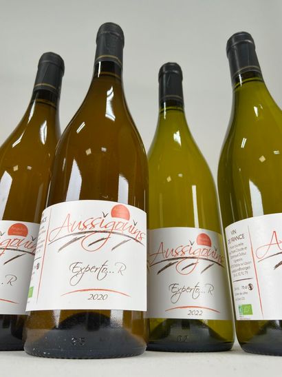 VIN DE FRANCE.
Dominique Dufour.
Les Assigouins....