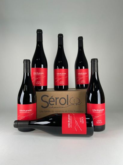 COTE ROANNAISE.
Domaine Sérol.
Eclat de Granit.
2023....