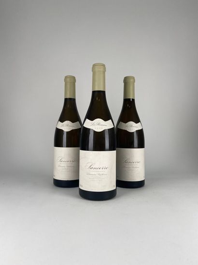 SANCERRE BLANC.
Domaine Vacheron.
Les Romains.
2020....