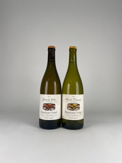 SANCERRE BLANC.
François Cotat.

Monts Damnés.
2021....
