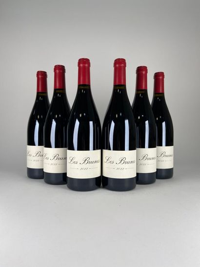 PAYS D'OC. 
Domaine Les Creisses. 
Les Brunes....