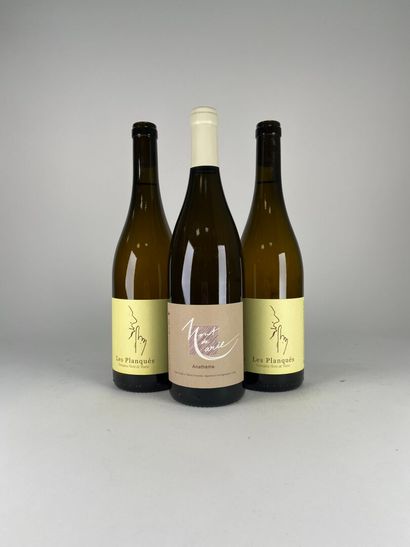 VIN DE FRANCE.
Mont de Marie. Blanc.
Anathème....
