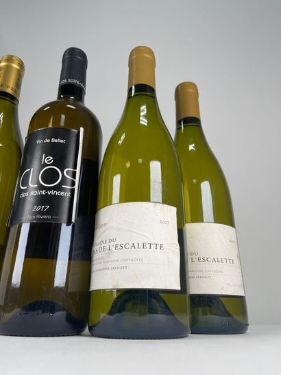 VIN DE BELLET.
Le Clos Saint Vincent.
Blanc....