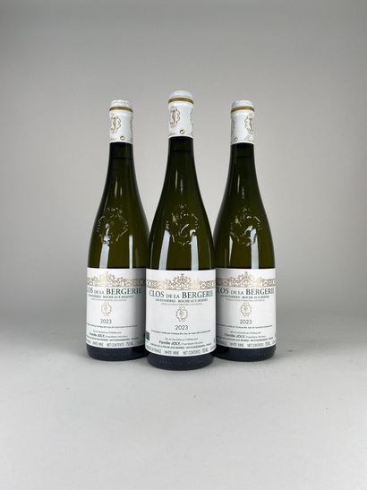 SAVENNIERES ROCHE AUX MOINES.
Joly family.
Clos...