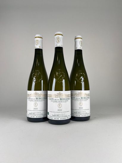SAVENNIERES ROCHE AUX MOINES.
Joly family.
Clos...