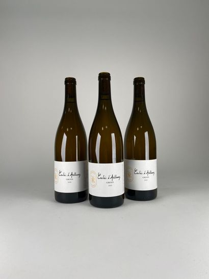 SAUMUR BLANC.
Domaine La Renière.
Coulée...