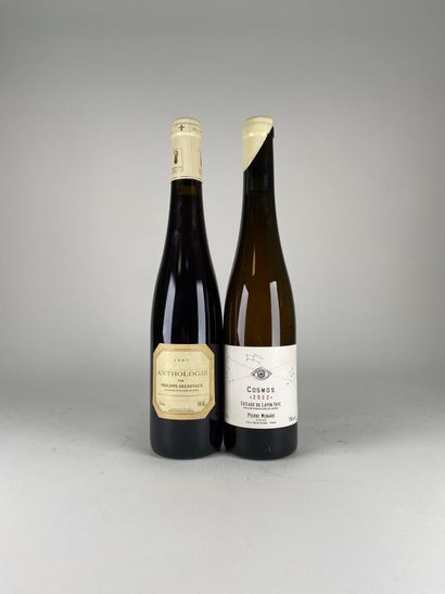 COTEAUX DU LAYON FAYE.

Domaine Pierre Ménard.
Cosmos....
