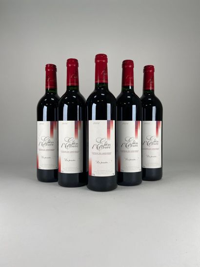 COTEAUX DU LANGUEDOC.
Mas de l'Ecriture....