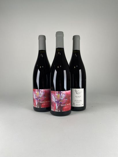 VIN DE FRANCE.
Mont de Marie.
Salve Ager.
2021....