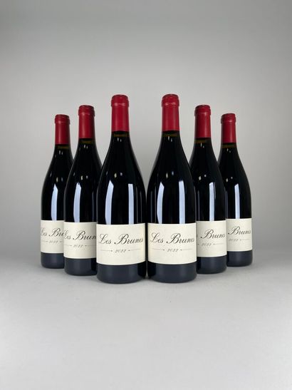 PAYS D'OC. 
Domaine Les Creisses. 
Les Brunes....