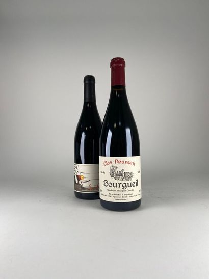 BOURGUEIL.
Domaine du Bel Air.
Clos Nouveau.
2018....