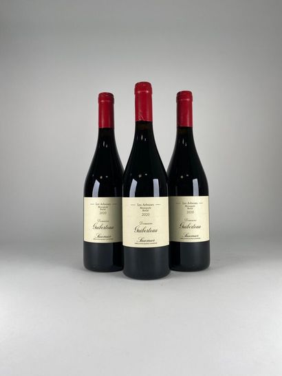 SAUMUR.
Domaine Guiberteau.
Les Arboises.
2020....