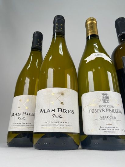 VIN DE BELLET.
Le Clos Saint Vincent.
Blanc....