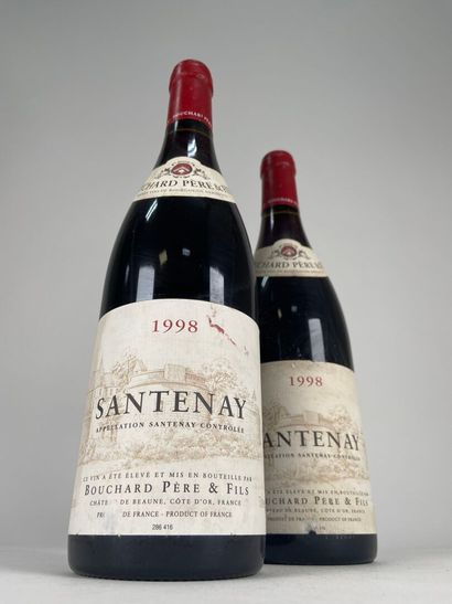 SANTENAY.
Bouchard P & F.
1998. 2 bt.