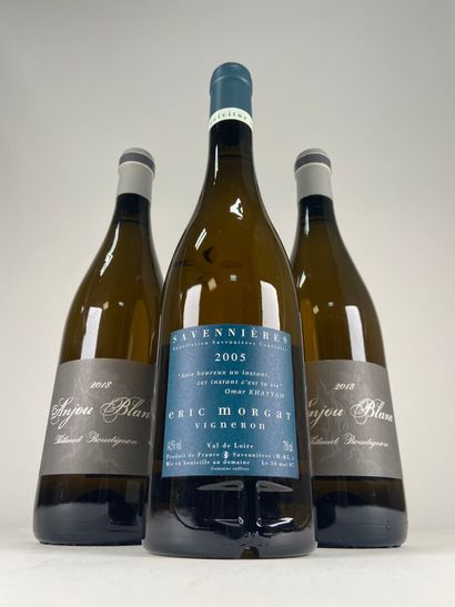ANJOU.
Domaine Thibault Boudignon.
2018....