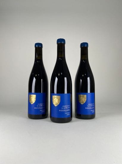 VIN DE FRANCE.
Charlotte et Aurélien Houillon.
Indigo....