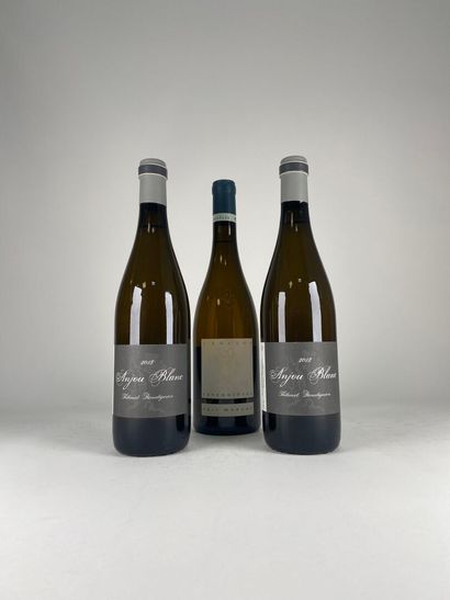 ANJOU.
Domaine Thibault Boudignon.
2018....