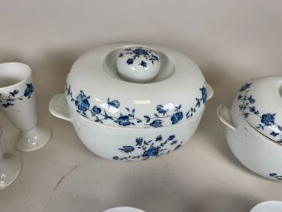 HAVILAND in Limoges.
Fleurs Bleues model.
White...