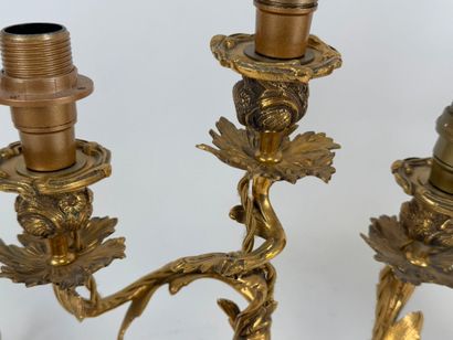 Paire de flambeaux en bronze doré et ciselé...