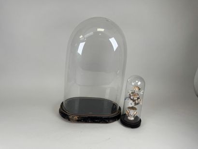 Globe de mariée en verre bombé de forme ovale,...