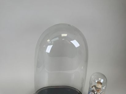 Globe de mariée en verre bombé de forme ovale,...