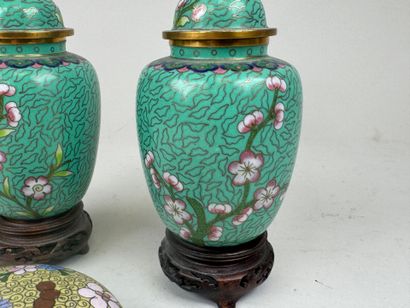 Paire de petits vases en émaux cloisonnés...