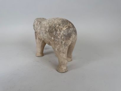 School, 20th century. Elephant, subject in...