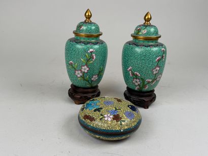 Paire de petits vases en émaux cloisonnés...