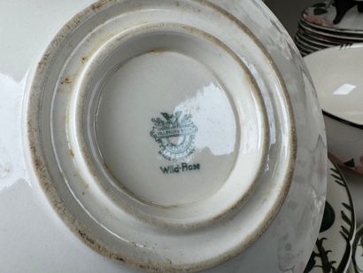 VILLEROY & BOCH.
Modèle WILD-ROSE.
Importante...